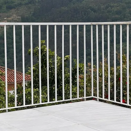Casa Amarela Do Douro Rooftop Escape بيت للعطل